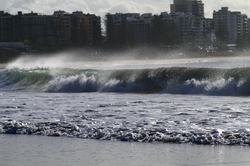 plage mooloolaba